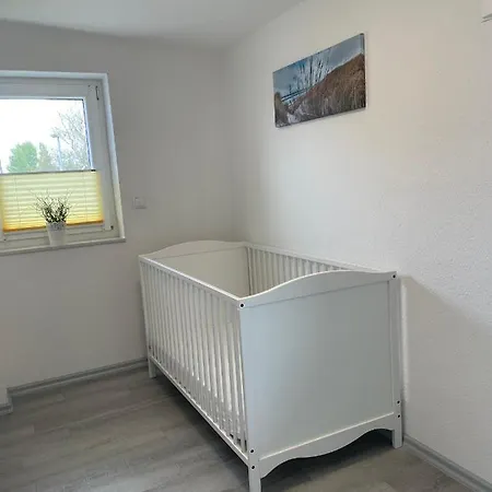 Strandlaeufer