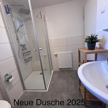 Strandlaeufer